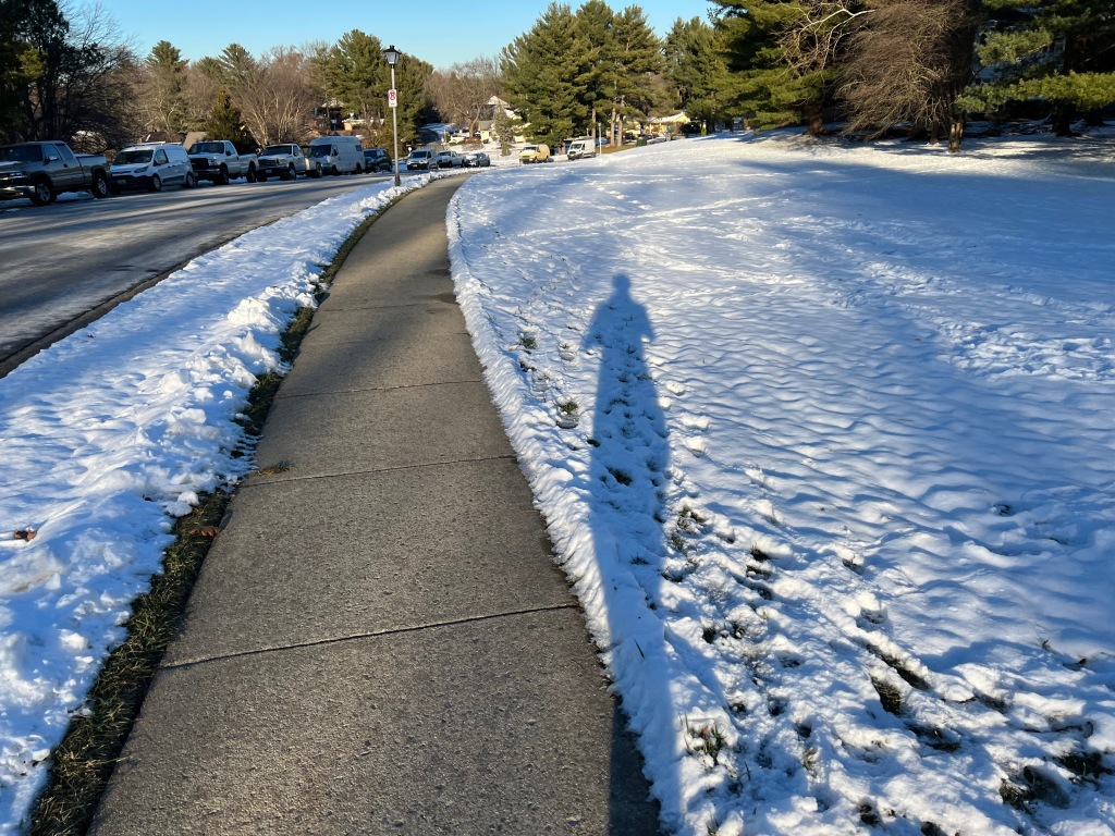 A photo of snow-covered grass to the left and right of a shoveled sidewalk. You can see Kelly's shadow in the snow.